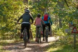 Szlaki rowerowe w województwie lubelskim. Podpowiadamy, gdzie warto wybrać się na rower w województwie lubelskim [MAPY, ZDJECIA]