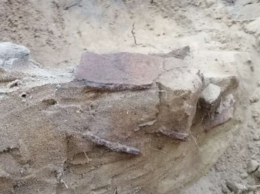 Niezwykłe znalezisko archeologiczne w Parparach koło Sztumu. Cmentarzysko sprzed 3000 lat!