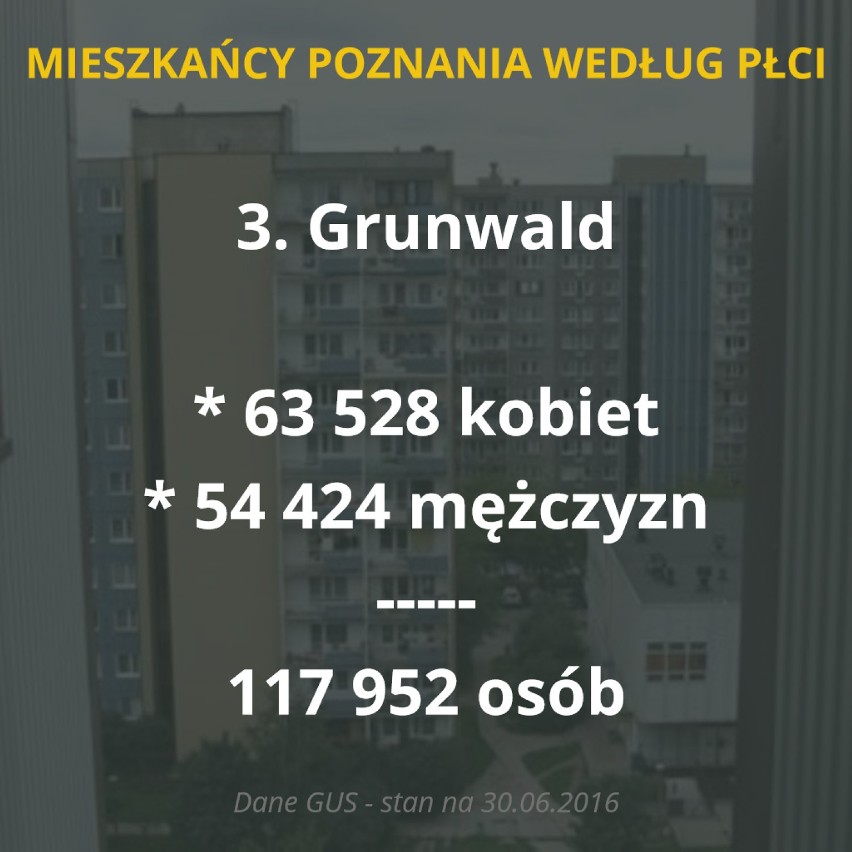 Poznań: W stolicy Wielkopolski mieszka więcej kobiet! Oto liczba mieszkańców w dzielnicach