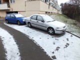 Śnieg powrócił do Poznania [zdjęcia]