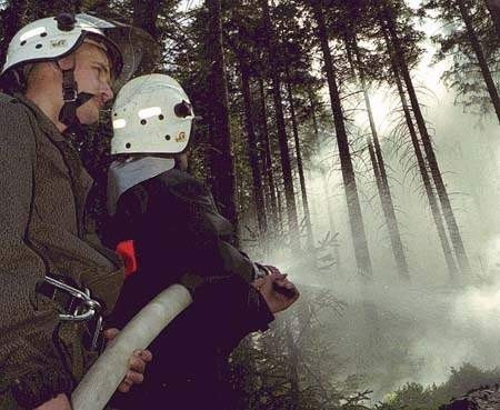 Dym wydobywający się z lasu był tak gęsty, że momentami nic nie było widać. Jednak strażacy szybko uporali się z zagrożeniem.	ZDJĘCIE: JACEK DROST