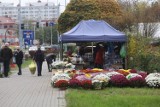 Komunikacja miejska w Legnicy na Wszystkich Świętych. Będą dodatkowe autobusy. Sprawdź szczegóły!