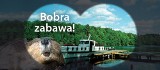 Zające, bobry, a nawet żółwie promują Polskę wschodnią (posłuchaj spotów)