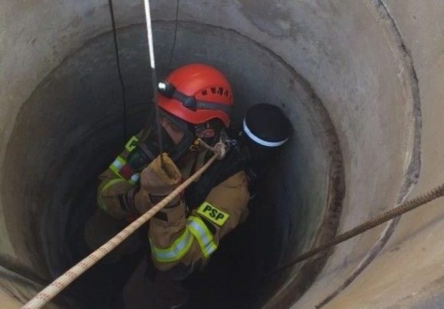 Do studni o głębokości około 20 metrów wpadł kot.