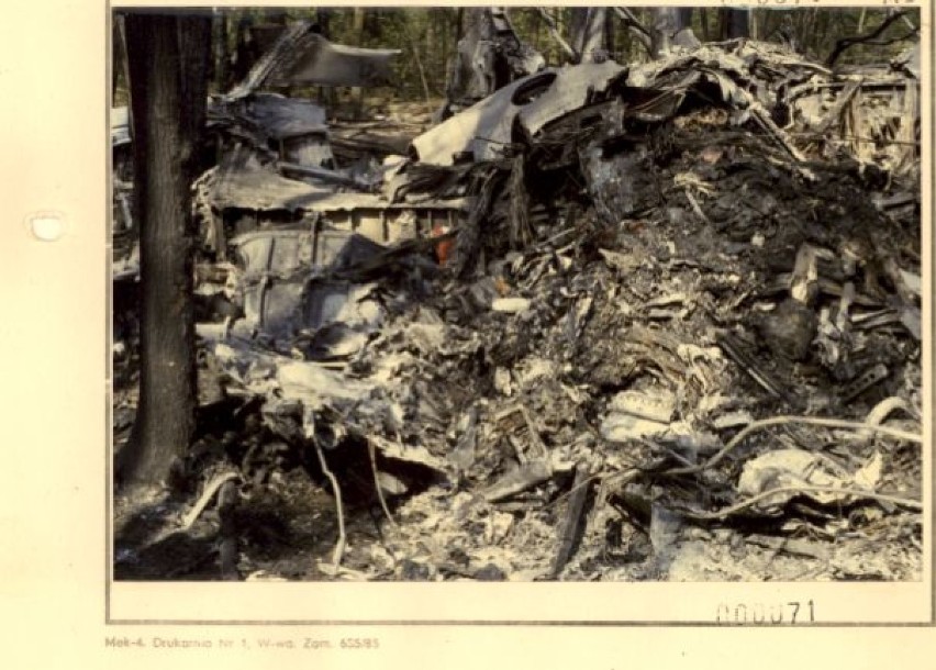 Dokumentacja i zdjęcia po katastrofie lotniczej w lesie...