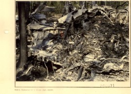 Katastrofa w Lesie Kabackim. Zginęły 183 osoby. Od tych zdarzeń mija ponad  trzydzieści lat | Warszawa Nasze Miasto