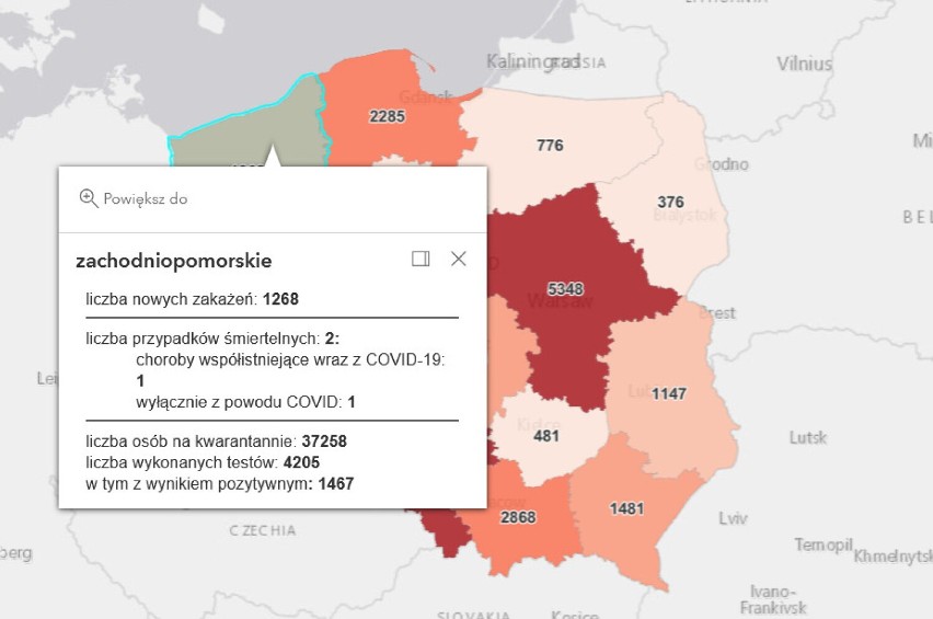 24.01.2022 r. - pandemia