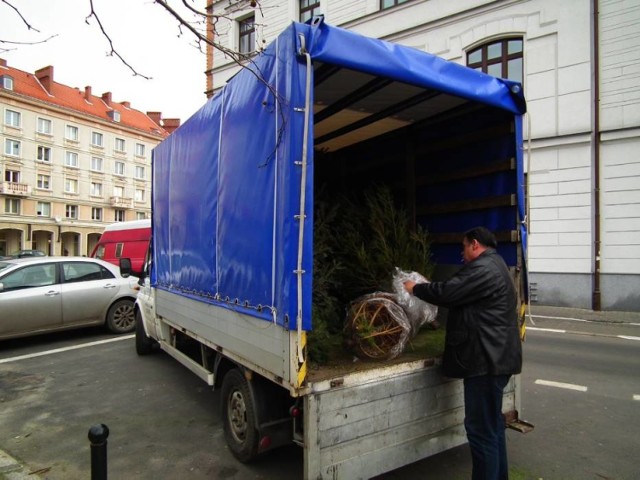 Ciepło z natury. Z choinek zebranych po świętach Warszawa ogrzeje 350 mieszkań