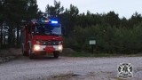 Wydmy i las w Białogórze: strażacy wezwani do rozpalonego ogniska | SONDA, NADMORSKA KRONIKA POLICYJNA