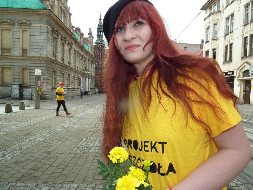 Projekt Pszczoła. Akcja Green Peace'u w Bydgoszczy