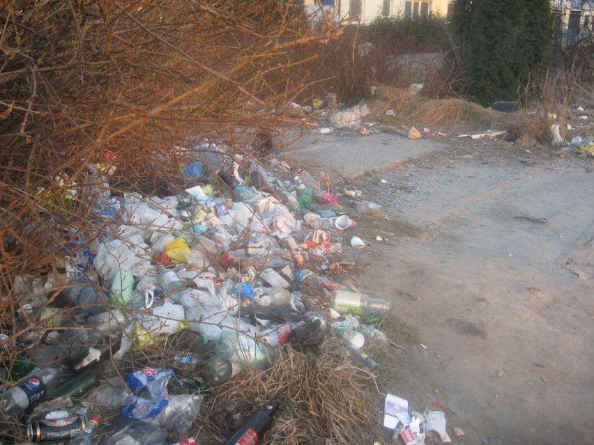 Śmieciowy bałagan przy ulicy Kraszewskiego i Nowowiejskiego [ZDJĘCIA]