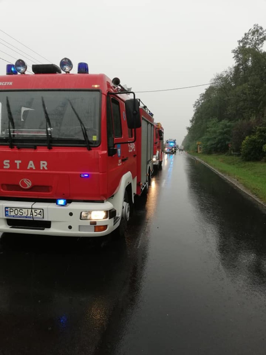 Zderzenie dwóch pojazdów na trasie Głogowa - Korytnica