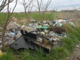 Dzikie wysypisko śmieci na Kaczernym