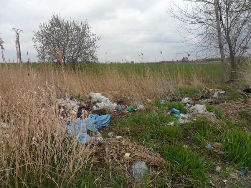 Dzikie wysypisko śmieci na Kaczernym .