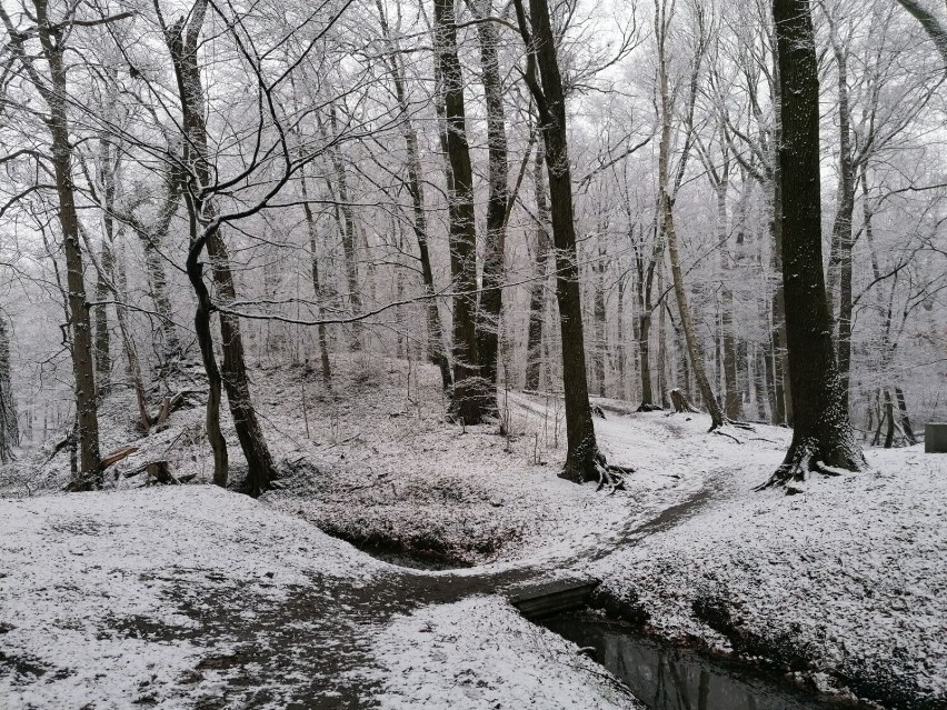 Park Poetów w zimowej, marcowej krasie wygląda bajkowo....