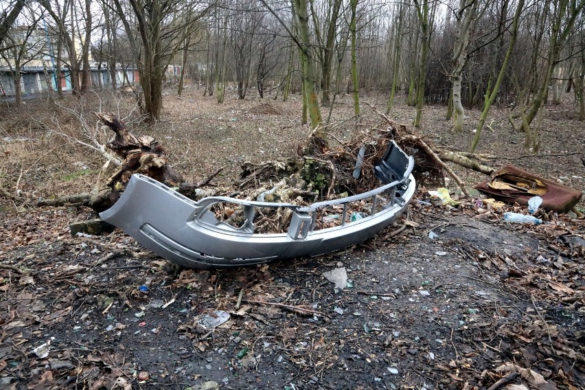 Dzikie wysypisko śmieci w Legnicy, tuż obok Zabytkowego Parku, zobaczcie zdjęcia