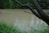 Podtopienia i zalania po burzach w Krakowie i Małopolsce [stan wód na rzekach]