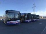 Nowe autobusy już w Głogowie. Wkrótce w każdym będzie biletomat