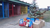 Uczniowie malborskiej "dwójki" zebrali 112 kg karmy dla psów ze schroniska