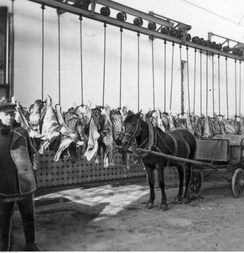 Wnętrze rzeźni przy ulicy Mireckiego w 1940 roku.