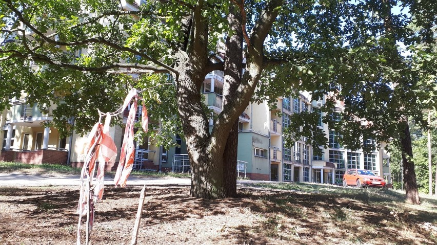 - Park Poetów, niegdyś chluba naszego miasta to teraz...