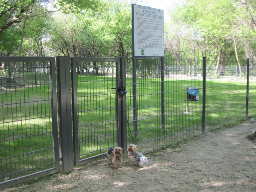 Osiedle "Snopkowska" w Lublinie. Otwarcie wybiegu dla psów opóźnia się