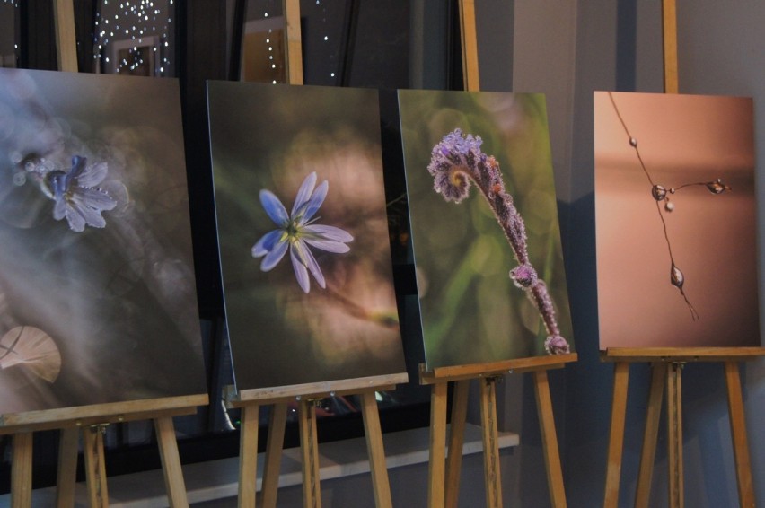 Wernisaż wystawy fotografii Grzegorza Ojrzyńskiego „Natura”...