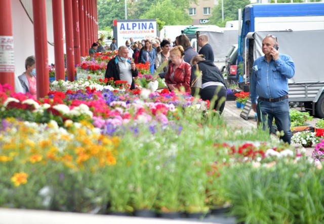 W czasie długiego, czerwcowego weekendu wielu mieszkańców postanowiło uzupełnić domowe zapasy i zrobić zakupy. Oblężenie przeżywało w sobotę popularne targowisko "Przy Śląskiej" w Radomiu. Dużym zainteresowaniem cieszyły się kwiaty i rośliny ogrodowe, które zachwycają bogatą paletą barw i form. 

Zobacz zdjęcia >>>