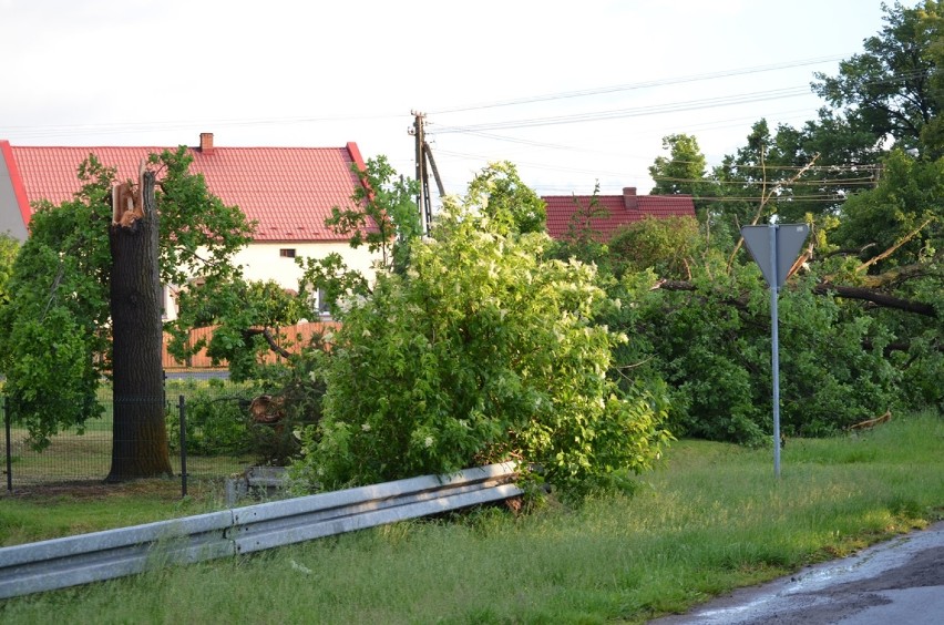 Gmina Kotla: Zerwane dachy i połamane drzewa w Skidniowie po nawałnicy. ZDJĘCIA