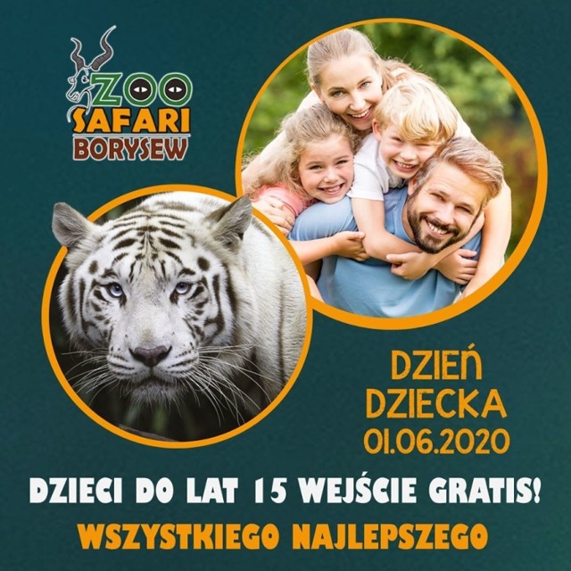 Do Zoo Safari w Borysewie 1 czerwca bez biletów