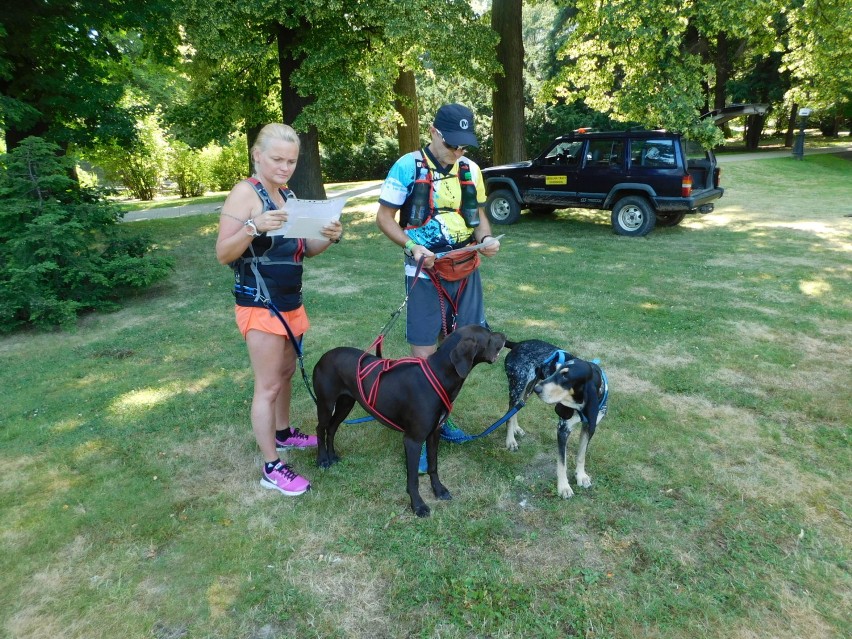 W Szczawnie-Zdroju odbyły się zawody Pucharu Polski w Dogtrekkingu