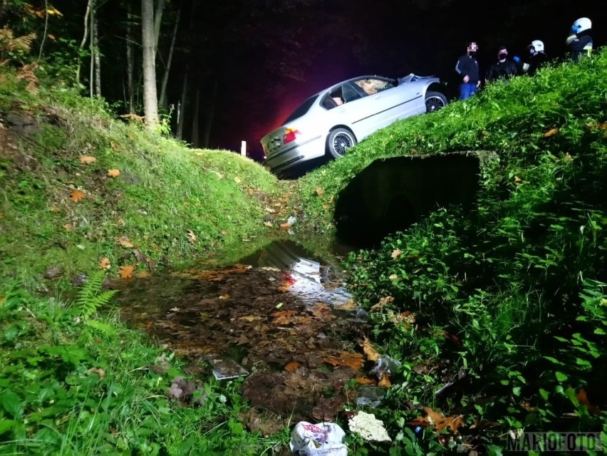 Wypadek w Jełowej. Kierowca bmw potrącił jelenia