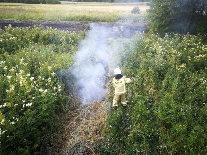 Od poczatku lipca, w Gorlickiem spłonęło około pięciu...