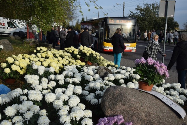 1 listopada autobusami na cmentarz jeździło zwykle kilkadziesiąt tysięcy gorzowian.