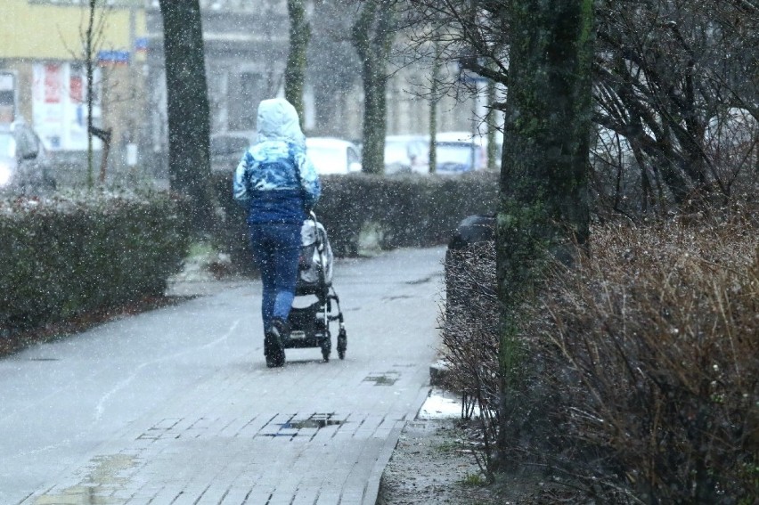 Niestety śnieg nie dotrwa do rana - mówią synoptycy...