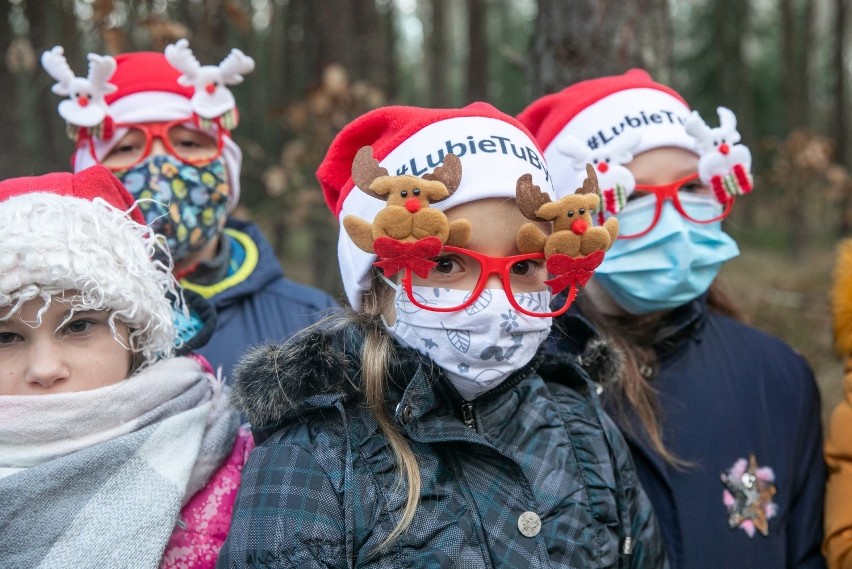 Dzieci z powiatu chełmińskiego pomogły wybrać choinkę, która...