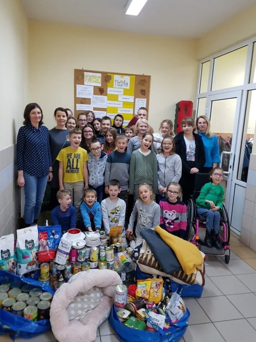 Krotoszyn: Uczniowie SP nr 3 w Krotoszynie wspomogli krotoszyńskie schronisko
