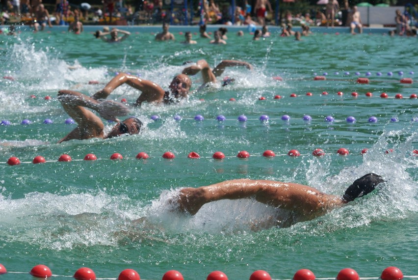 Mistrzostwa Radzionkowa w pływaniu 2013 [ZDJĘCIA]