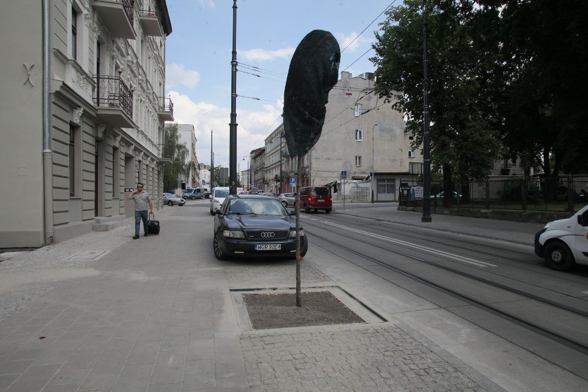 Na ulicy Kopernika w Łodzi posadzą śliwy wiśniowe [ZDJĘCIA]