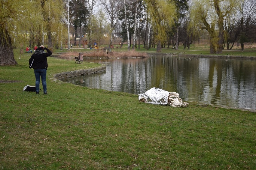 W parku w Zgorzelcu znaleziono zwłoki [ZDJĘCIA, FILM] 