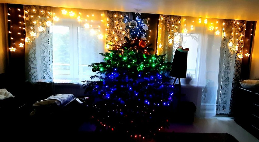 Choinki w domach naszych czytelników. Zobaczcie wyjątkowe świąteczne drzewka. ZDJĘCIA