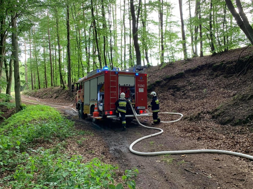 Powiat chodzieski: Ćwiczenia straży pożarnej w lasach koło Oleśnicy [ZDJĘCIA] 