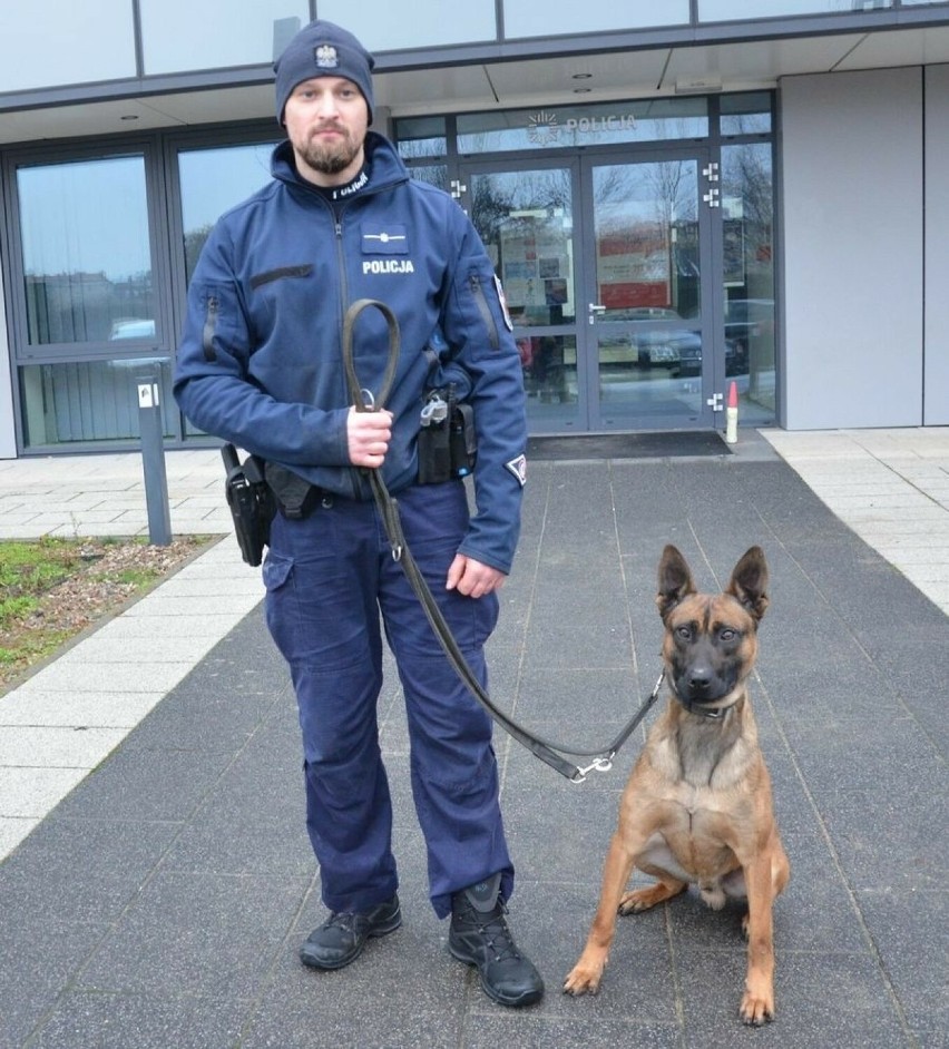 Gdańska policja ma nowego psa służbowego - Irona