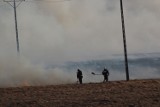 Pożar w Hrubieszowie: Płoną trawy przy ul. Gródeckiej