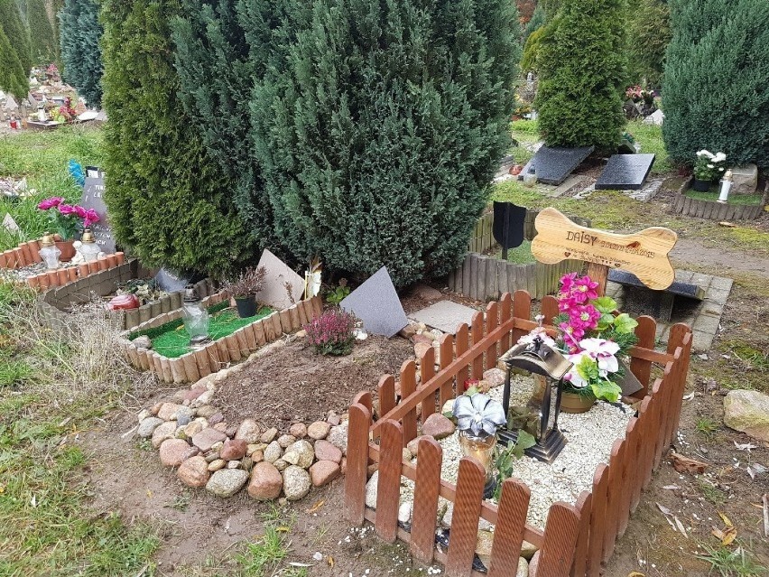 Tak wyglądają cmentarze dla zwierząt w Polsce