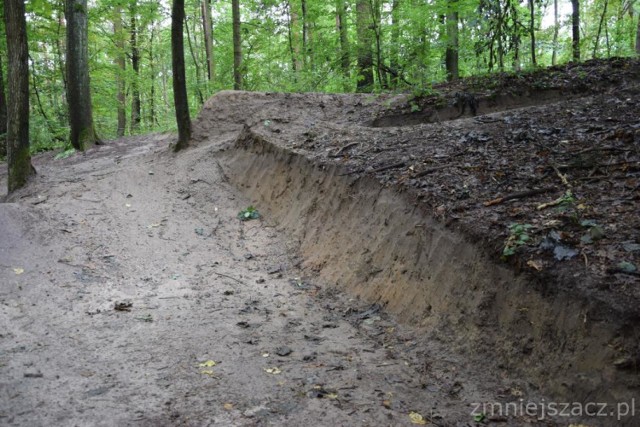 Rowerzyści niszczą Las Kabacki? Specjalny tor "szkodników" oburza leśników [ZDJĘCIA]