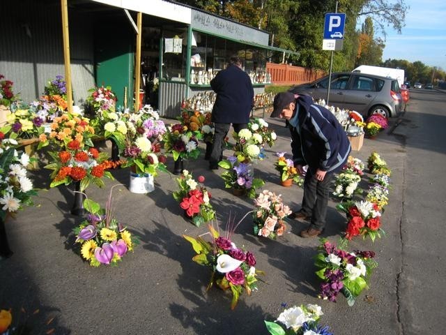 Kwiatów i zniczy przy cmentarzu do wyboru, do koloru