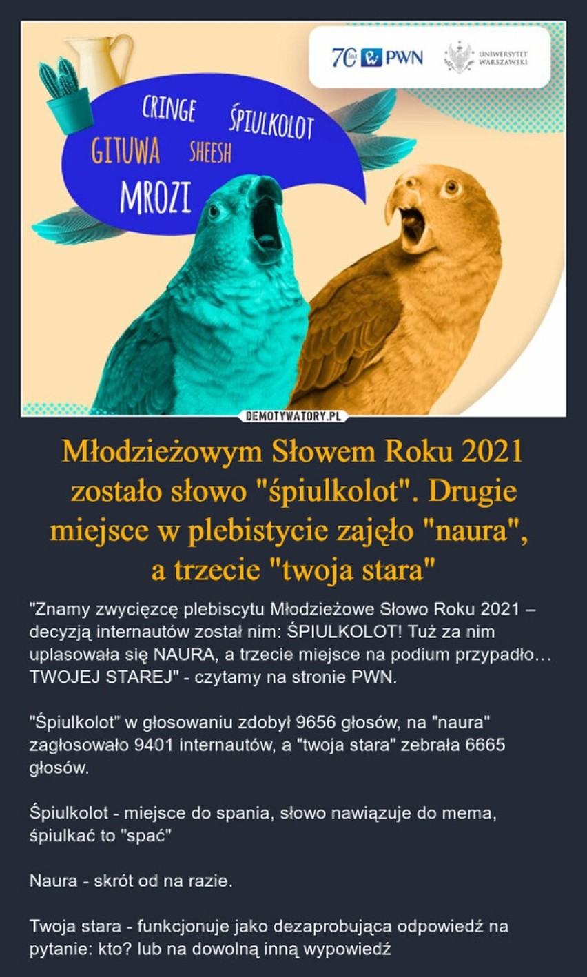 "Śpiulkolot" młodzieżowym słowem roku 2021. Co to takiego? Zobacz MEMY! 