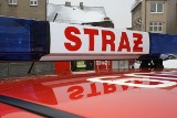 Wypadek na drodze wojewódzkiej nr 224 - jedna osoba nie żyje, dwie zostały ranne