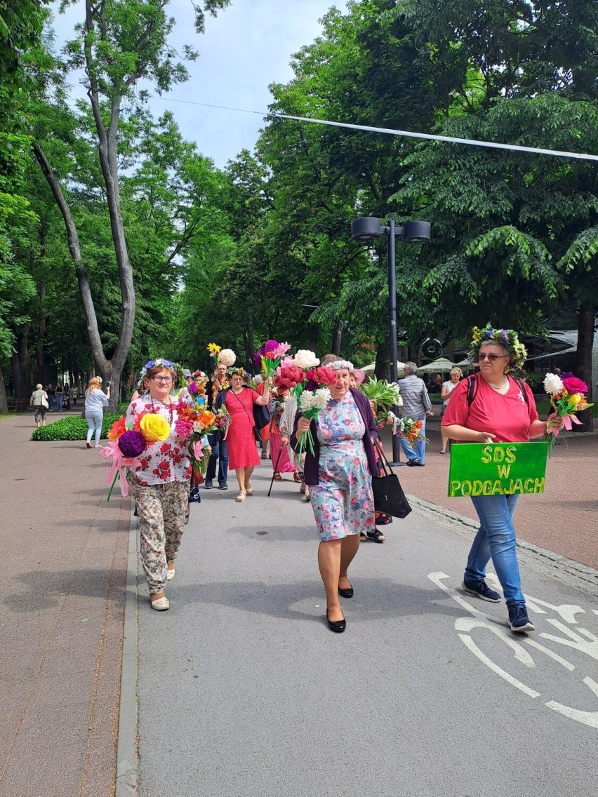 Festiwal Kwiatów w Busku-Zdroju 2023.